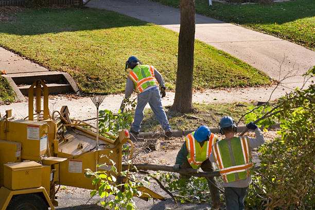 Best Lawn Watering Services  in Gulf Breeze, FL